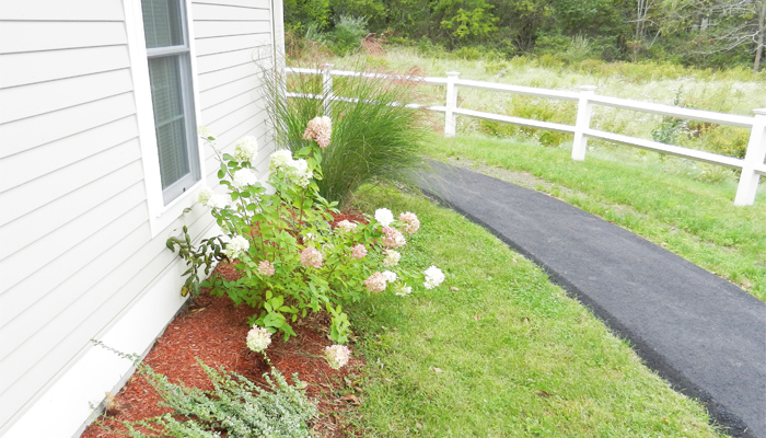 Flowers by accessible walkway